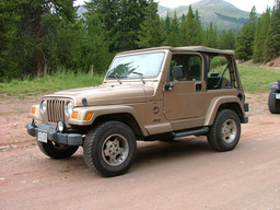 Click to see this photograph full size