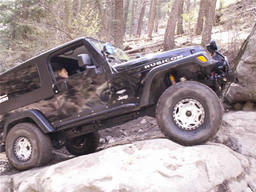 Click to see this photograph full size