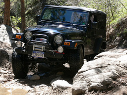 Click to see this photograph full size