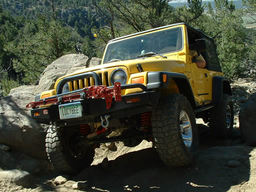 Click to see this photograph full size