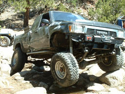 Click to see this photograph full size