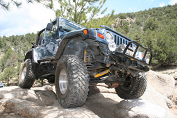 Click to see this photograph full size