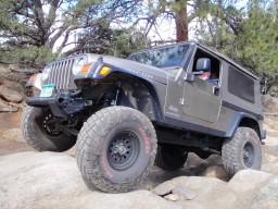 Click to see this photograph full size