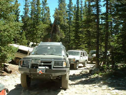 Click to see this photograph full size