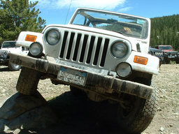 Click to see this photograph full size