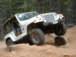 Click to see this photograph full size