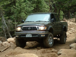 Click to see this photograph full size