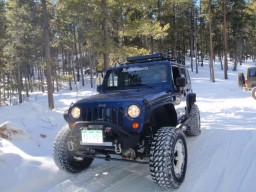 Click to see this photograph full size