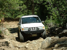 Click to see this photograph full size