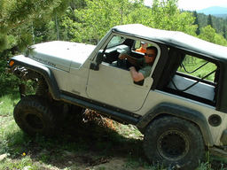 Click to see this photograph full size