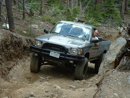 Click to see this photograph full size