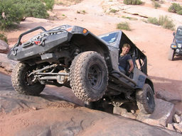 Click to see this photograph full size