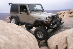 Click to see this photograph full size