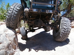 Click to see this photograph full size