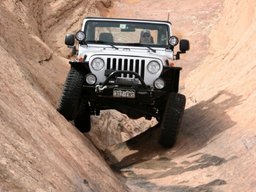 Click to see this photograph full size