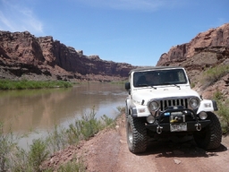 Click to see this photograph full size