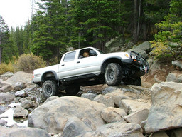 Click to see this photograph full size