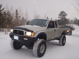 Click to see this photograph full size