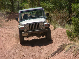 Click to see this photograph full size