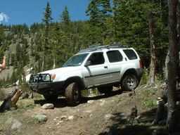 Click to see this photograph full size