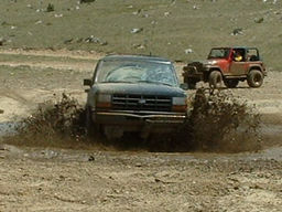 Click to see this photograph full size