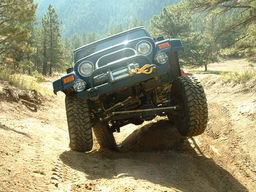 Click to see this photograph full size