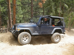 Click to see this photograph full size