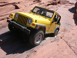 Click to see this photograph full size