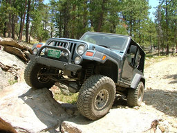 Click to see this photograph full size