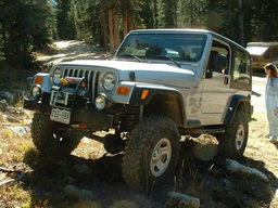 Click to see this photograph full size