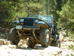 Click to see this photograph full size