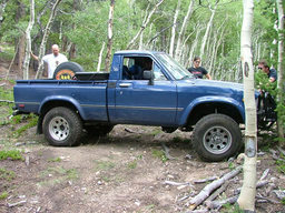 Click to see this photograph full size