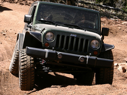 Click to see this photograph full size