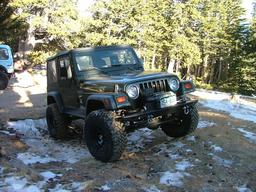 Click to see this photograph full size