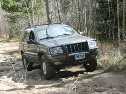 Click to see this photograph full size