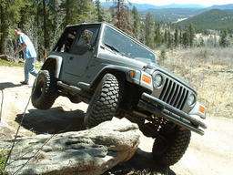 Click to see this photograph full size