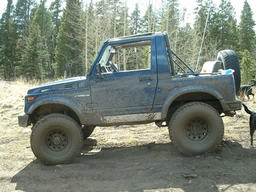 Click to see this photograph full size