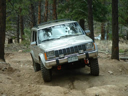 Click to see this photograph full size