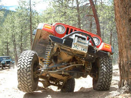 Click to see this photograph full size