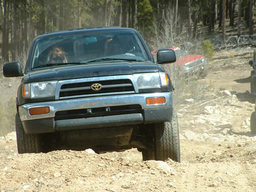 Click to see this photograph full size