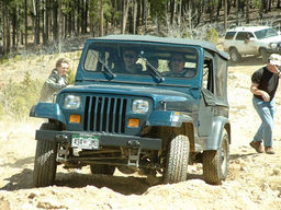 Click to see this photograph full size