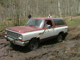 Click to see this photograph full size