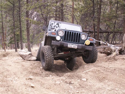 Click to see this photograph full size