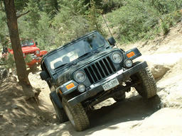 Click to see this photograph full size