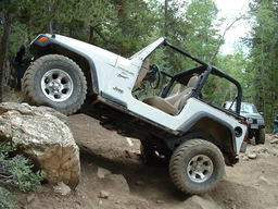 Click to see this photograph full size