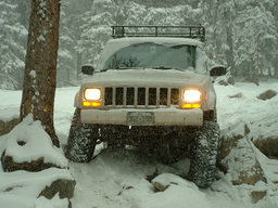 Click to see this photograph full size