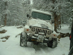 Click to see this photograph full size