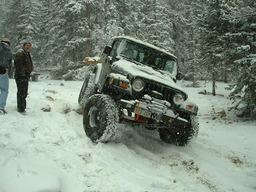 Click to see this photograph full size