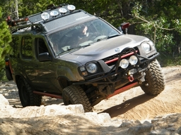 Click to see this photograph full size