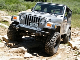 Click to see this photograph full size